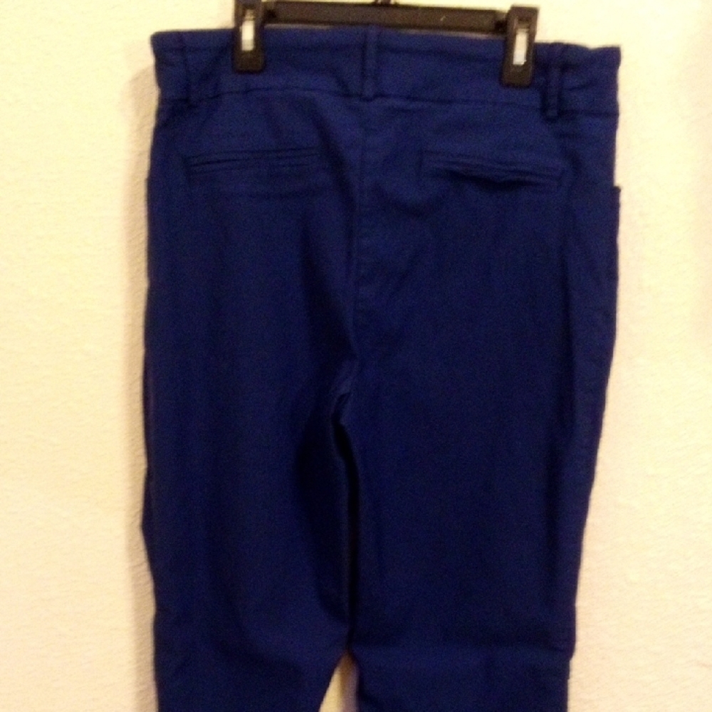 Hilary Radley Royal Blue Pull On Straight Leg Pants Womens Large L/G Stretch - Picture 4 of 5